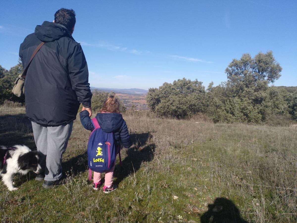 Casa Rural Las Abubillas Mirabueno エクステリア 写真